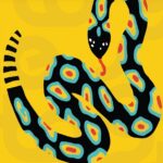 WhatsApp Image 2026-02-13 at 11.08.43